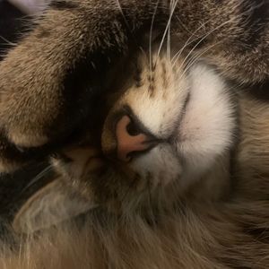 Meet your Posher, Kathern